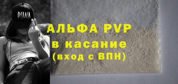 Альфа ПВП Бердск