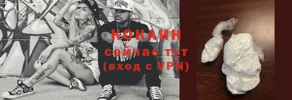 сатива Гусь-Хрустальный
