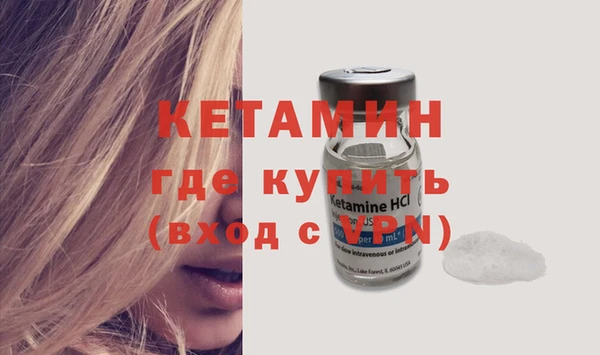 сатива Гусь-Хрустальный