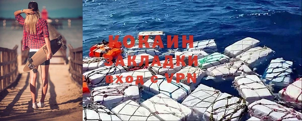 сатива Гусь-Хрустальный