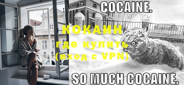 сатива Гусь-Хрустальный