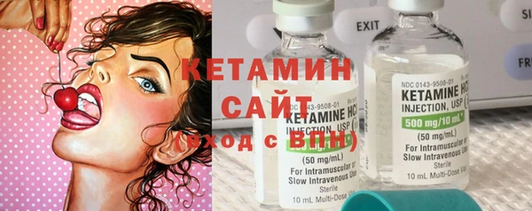 сатива Гусь-Хрустальный