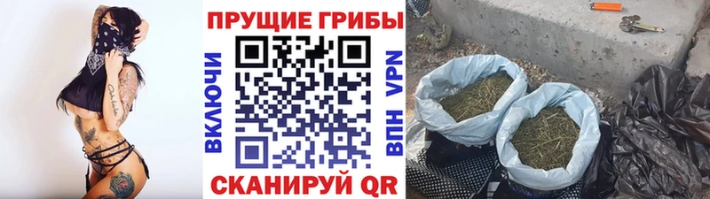 Галлюциногенные грибы MAGIC MUSHROOMS Зверево